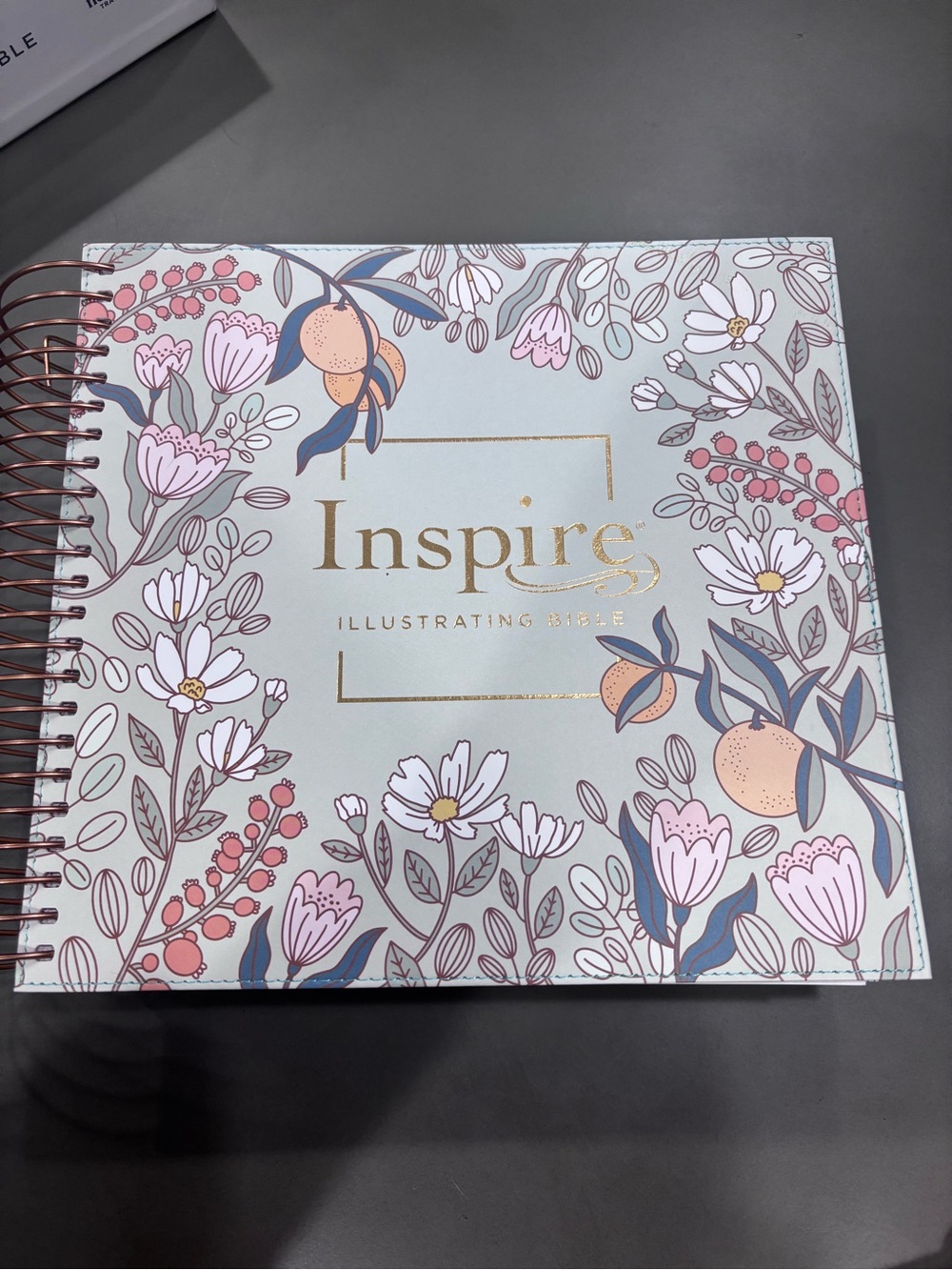 Inspire Illustrating Bible Floral Spiral Journal - Pastel Blue/Pink